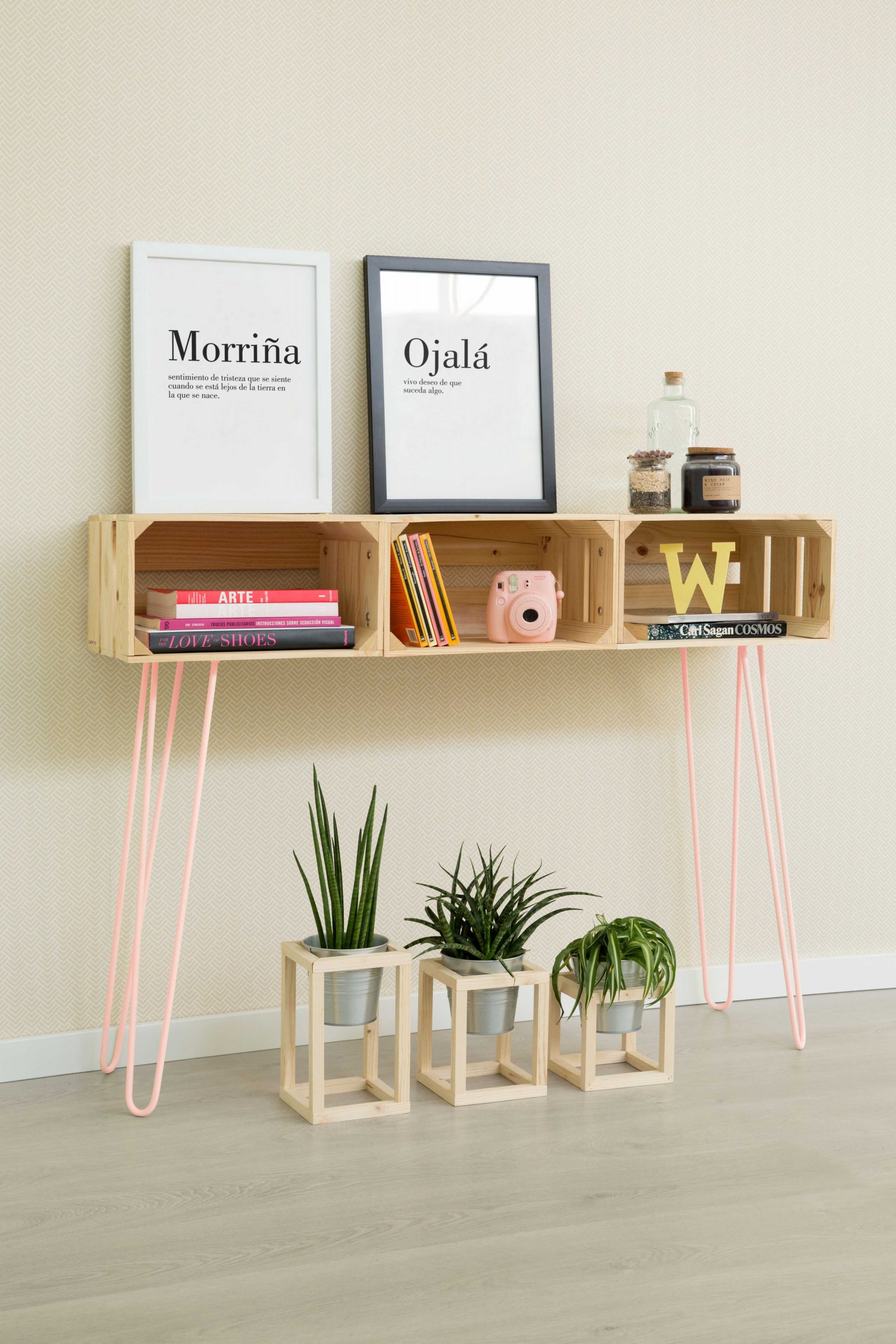 2.C-02-(-LATERAL)-ROSA